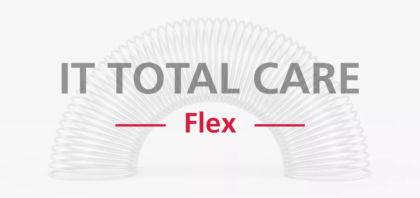 Banner de texto con un fondo de resorte (slinky) blanco que dice "IT TOTAL CARE" en gris y "Flex" en rojo. Simboliza un servicio de TI adaptable o flexible.