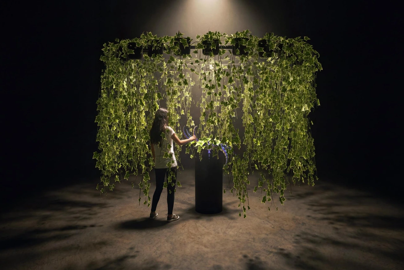 Ricoh presents SynTact prototype exploring how intelligent environments could transform future workplaces