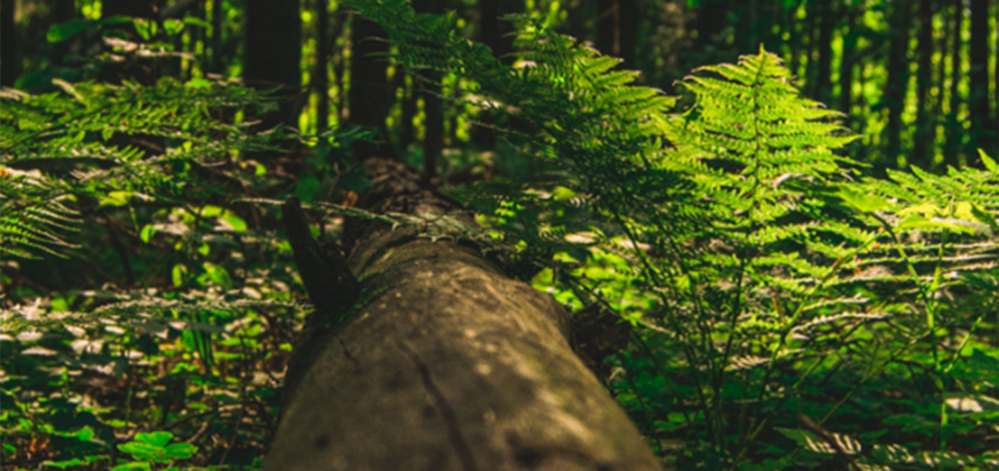 Enhanced Sustainability